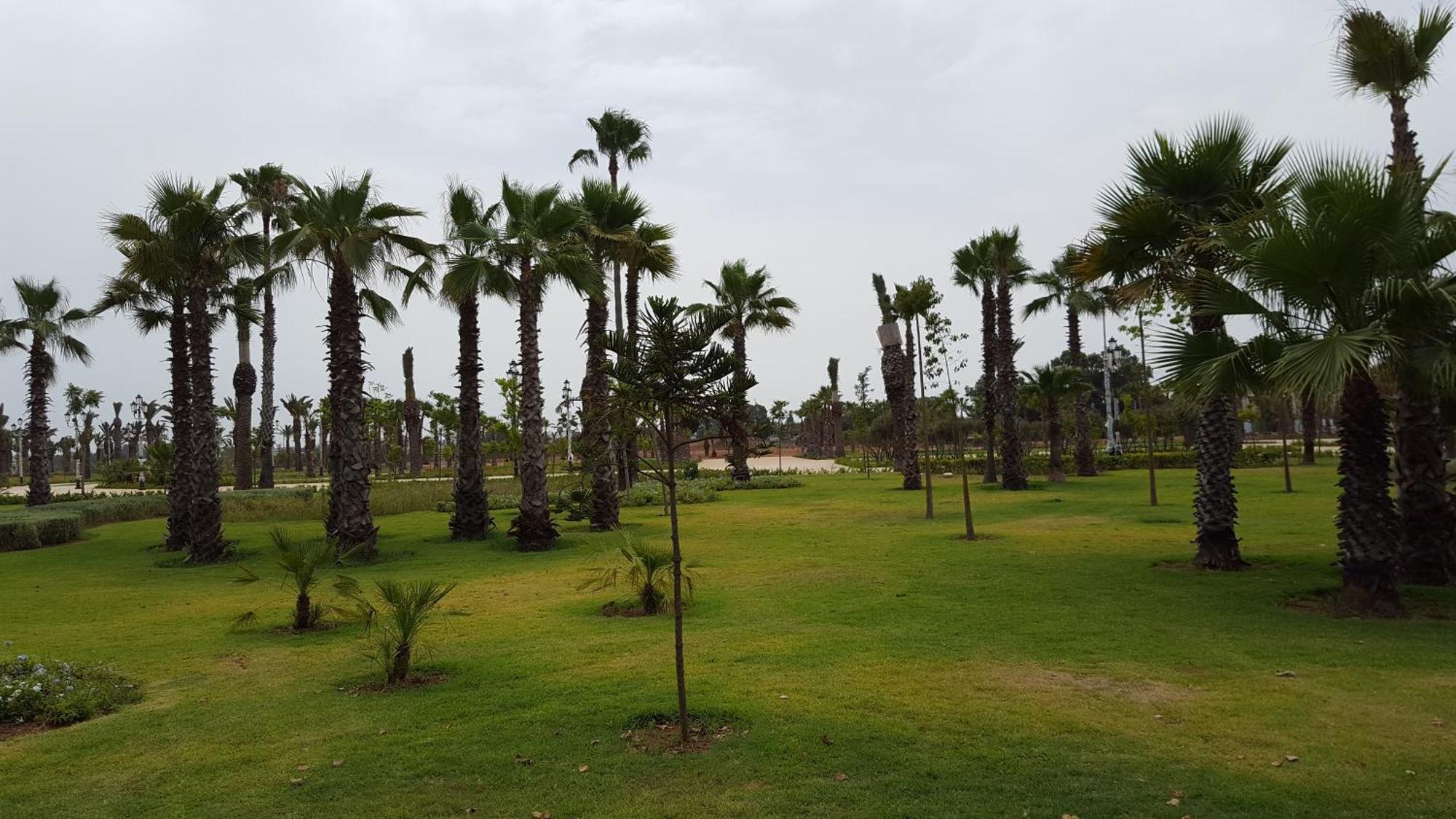Appartement Agreable Avec 2 Tres Belles Terrasses Au Coeur De Rabat Exterior foto